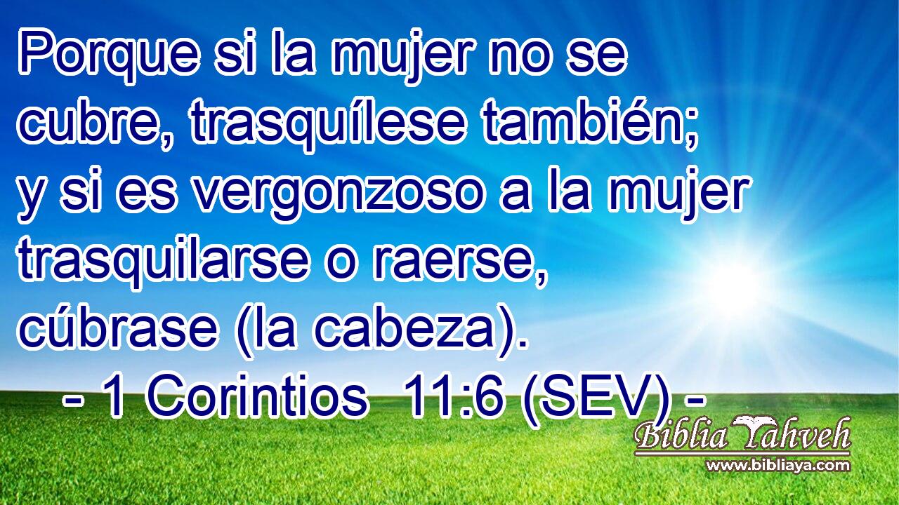 Porque si la mujer no se cubre, trasquílese también; y si es vergonzoso a la mujer trasquilarse o raerse, cúbrase (la cabeza).