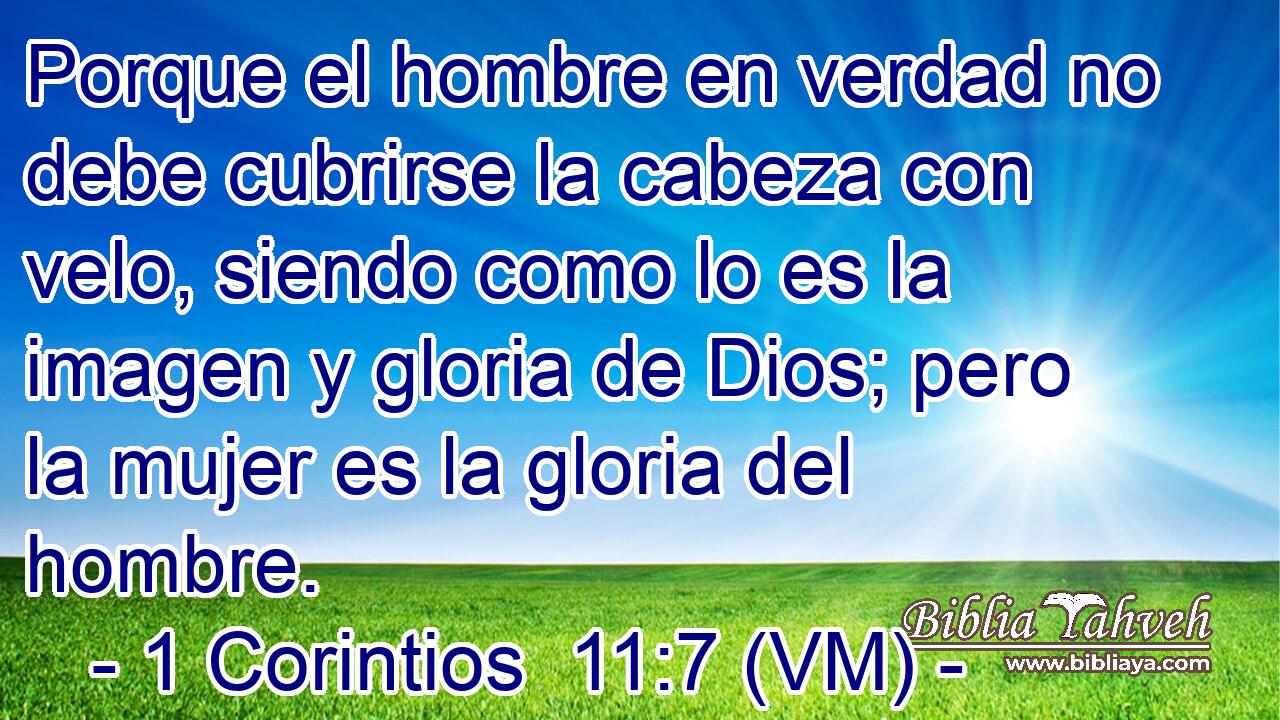  Porque el hombre en verdad no debe cubrirse la cabeza con velo, siendo como lo es la imagen y gloria de Dios; pero la mujer es la gloria del hombre. 