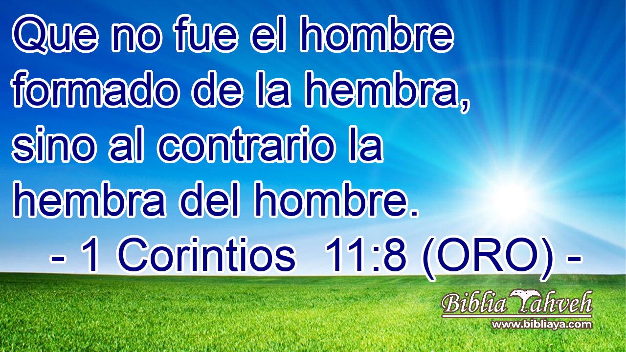  Que no fue el hombre formado de la hembra, sino al contrario la hembra del hombre. 