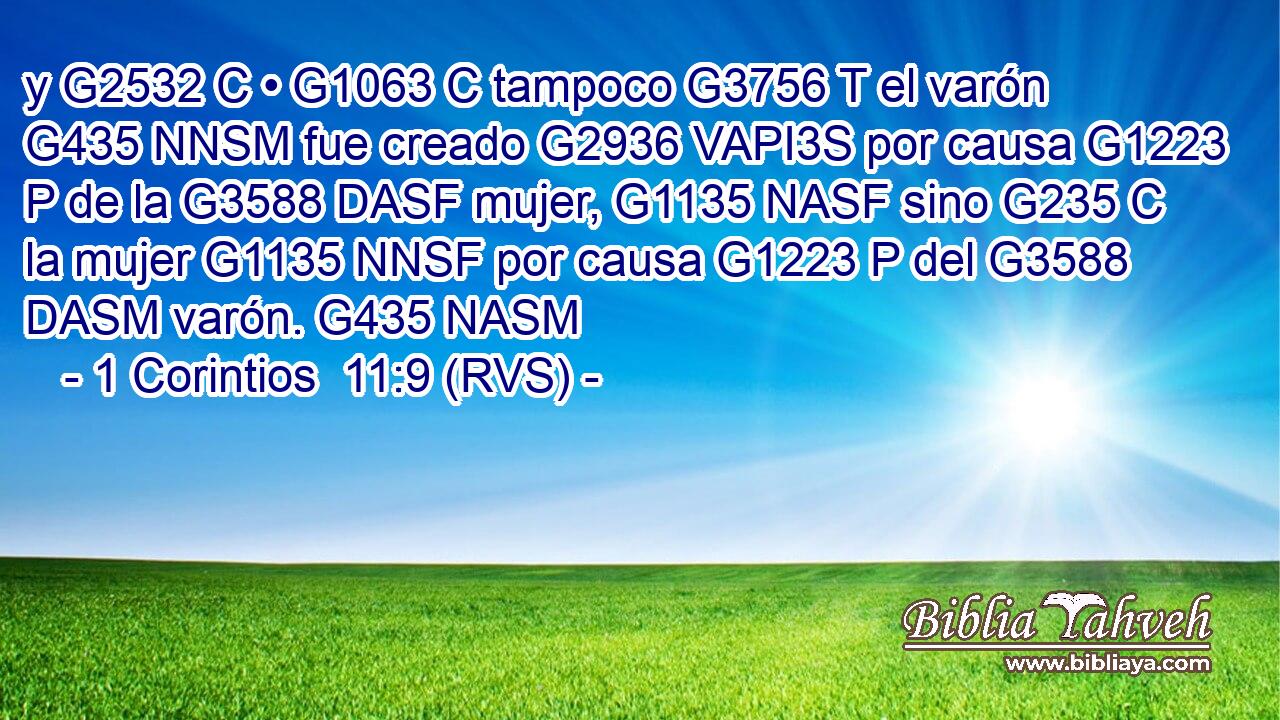 y G2532 C • G1063 C tampoco G3756 T el varón G435 NNSM fue creado G2936 VAPI3S por causa G1223 P de la G3588 DASF mujer, G1135 NASF sino G235 C la mujer G1135 NNSF por causa G1223 P del G3588 DASM varón. G435 NASM 