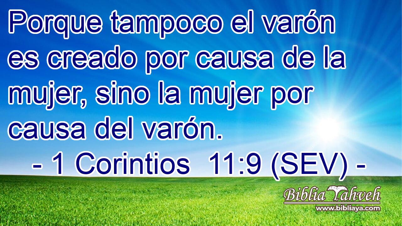 Porque tampoco el varón es creado por causa de la mujer, sino la mujer por causa del varón.