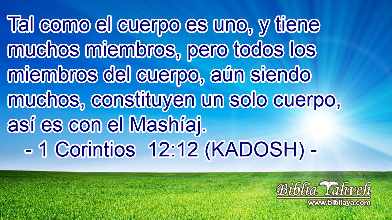  Tal como el cuerpo es uno, y tiene muchos miembros, pero todos los miembros del cuerpo, aún siendo muchos, constituyen un solo cuerpo, así es con el Mashíaj. 