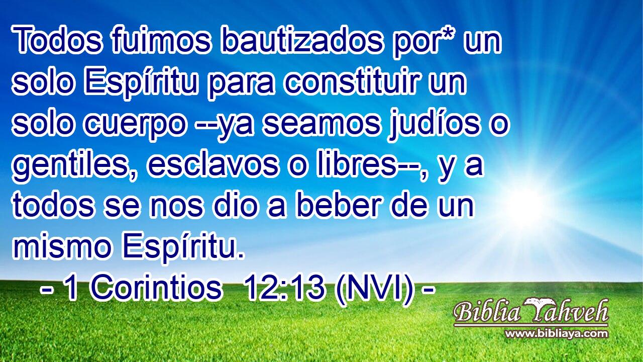  Todos fuimos bautizados por* un solo Espíritu para constituir un solo cuerpo --ya seamos judíos o gentiles, esclavos o libres--, y a todos se nos dio a beber de un mismo Espíritu. 