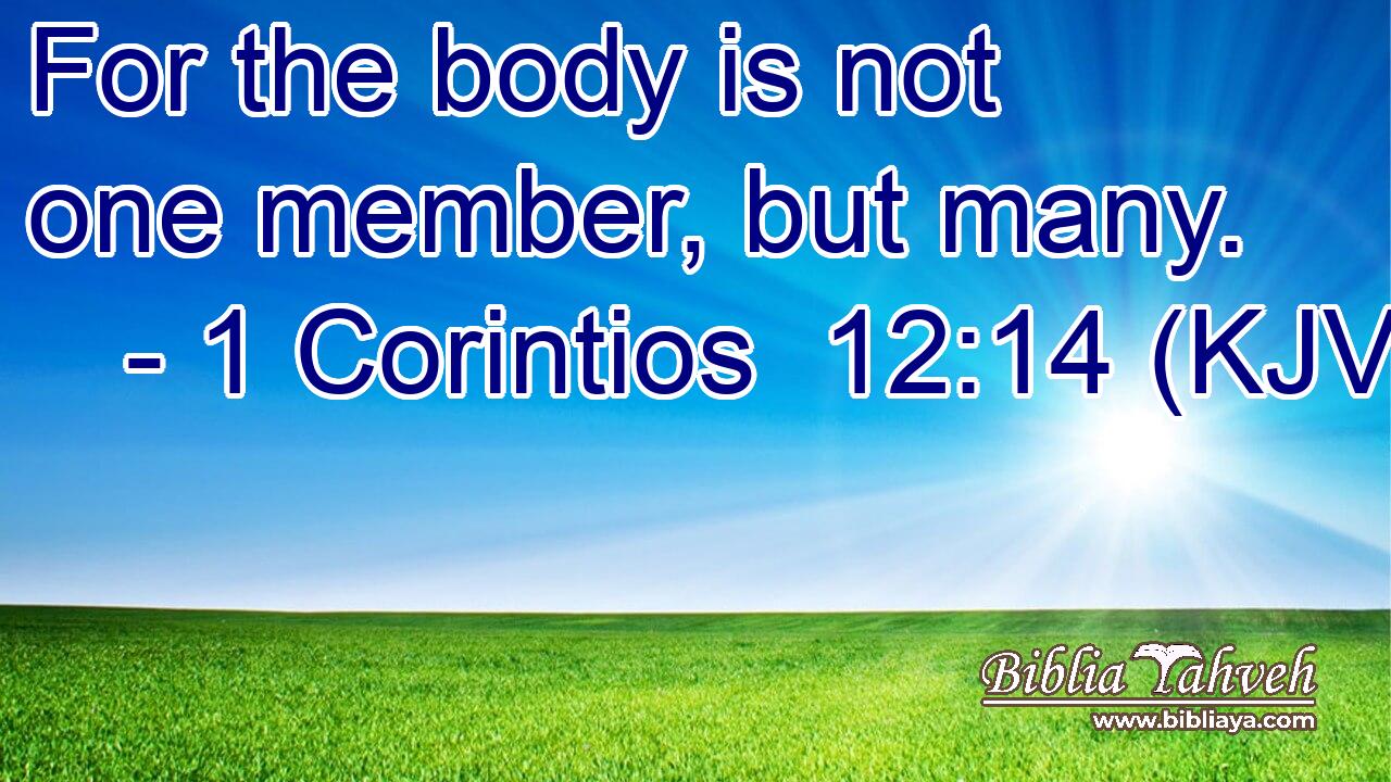 For the body is not one member, but many.