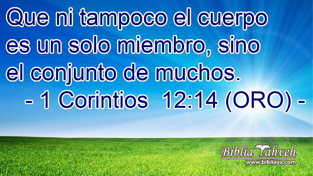  Que ni tampoco el cuerpo es un solo miembro, sino el conjunto de muchos. 