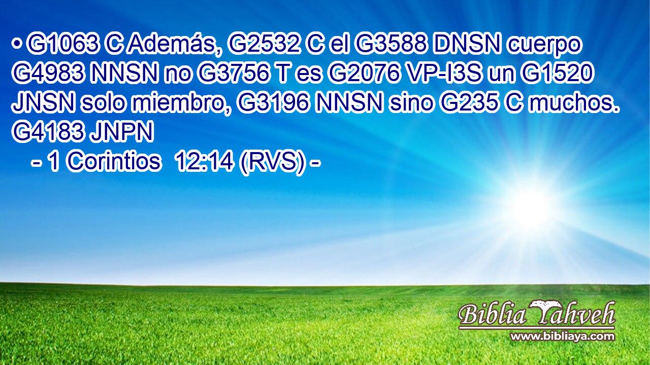 • G1063 C Además, G2532 C el G3588 DNSN cuerpo G4983 NNSN no G3756 T es G2076 VP-I3S un G1520 JNSN solo miembro, G3196 NNSN sino G235 C muchos. G4183 JNPN 