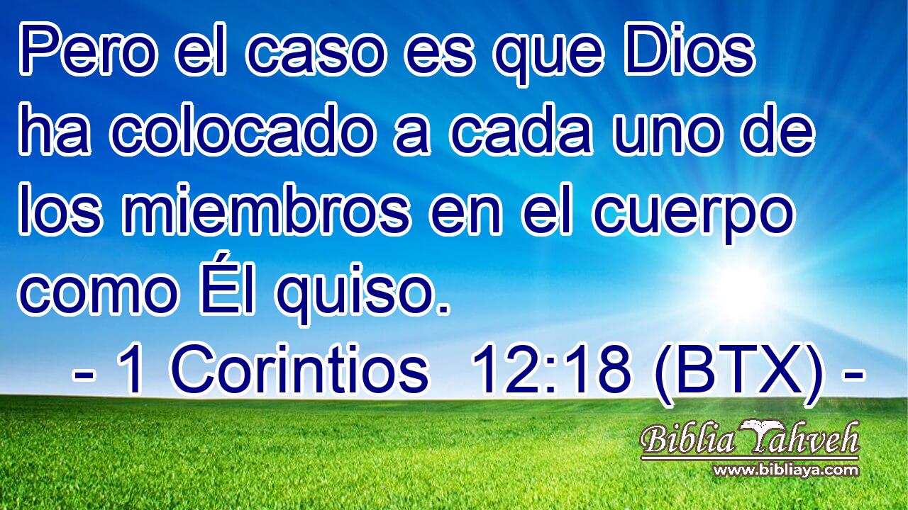 Pero el caso es que Dios ha colocado a cada uno de los miembros en el cuerpo como Él quiso.