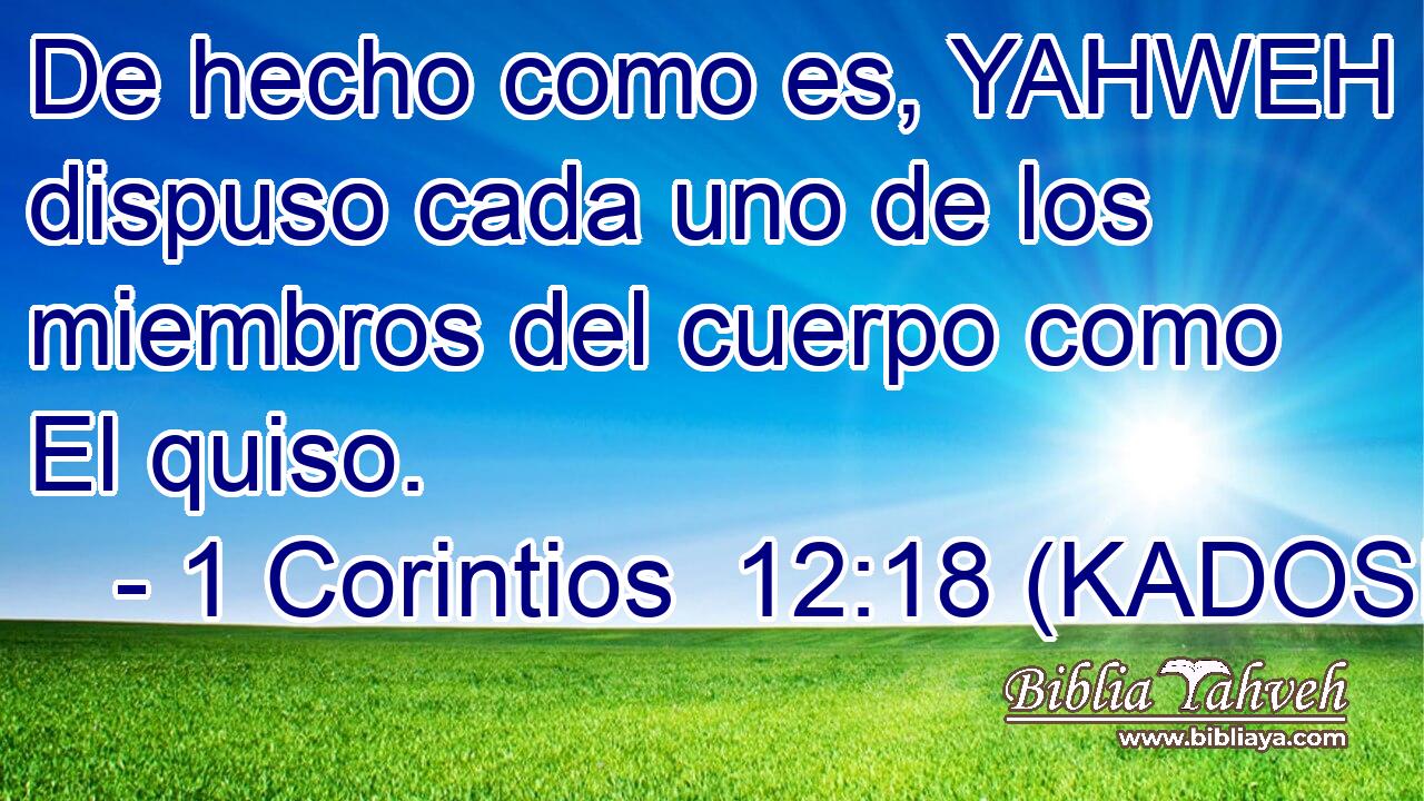  De hecho como es, YAHWEH dispuso cada uno de los miembros del cuerpo como El quiso. 