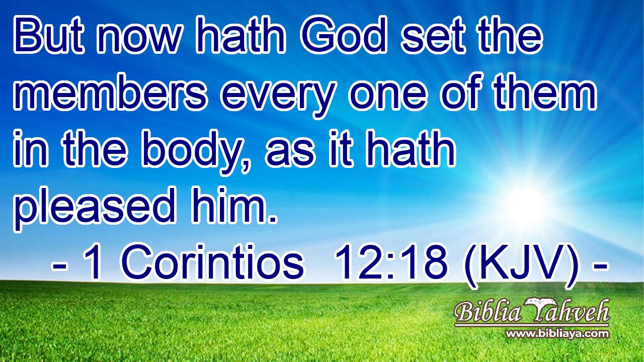 But now hath God set the members every one of them in the body, as it hath pleased him.