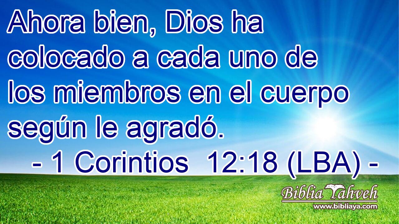 Ahora bien, Dios ha colocado a cada uno de los miembros en el cuerpo según le agradó.