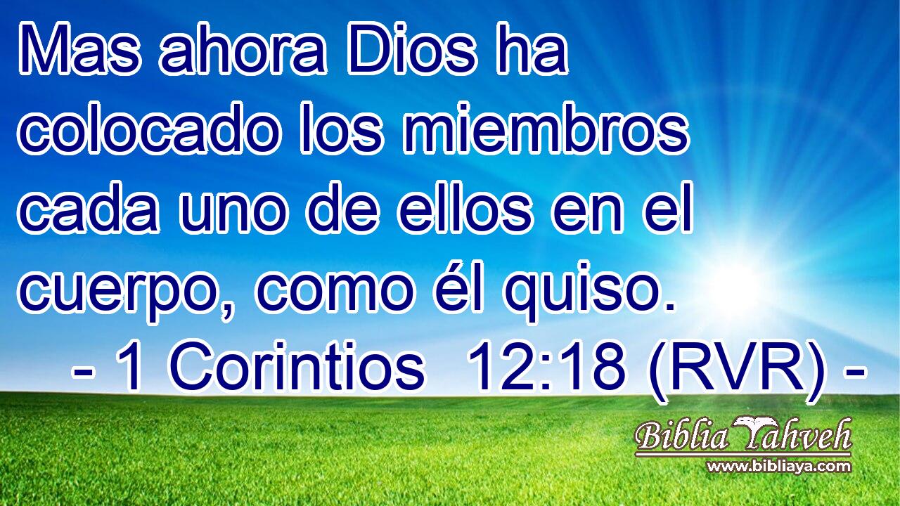 Mas ahora Dios ha colocado los miembros cada uno de ellos en el cuerpo, como él quiso.