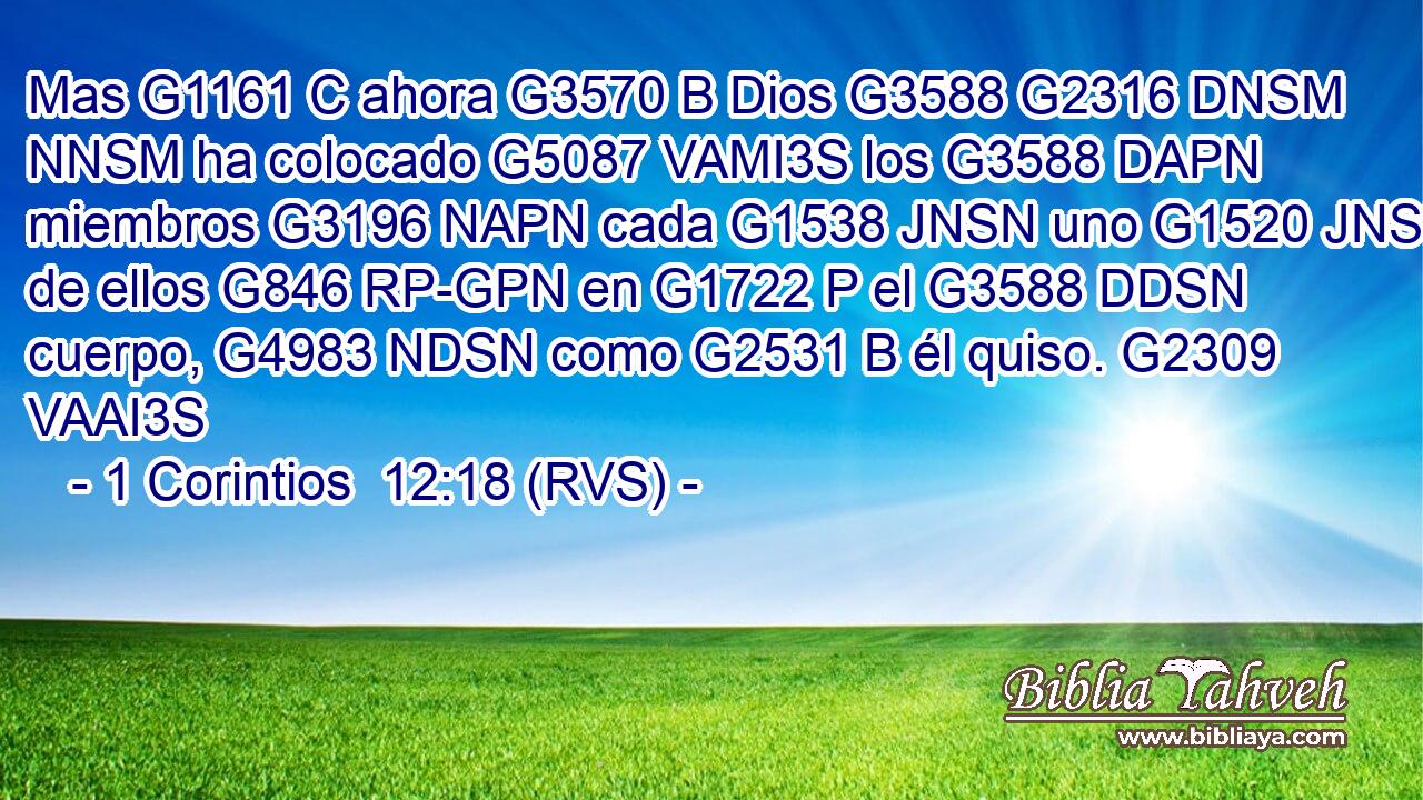 Mas G1161 C ahora G3570 B Dios G3588 G2316 DNSM NNSM ha colocado G5087 VAMI3S los G3588 DAPN miembros G3196 NAPN cada G1538 JNSN uno G1520 JNSN de ellos G846 RP-GPN en G1722 P el G3588 DDSN cuerpo, G4983 NDSN como G2531 B él quiso. G2309 VAAI3S 