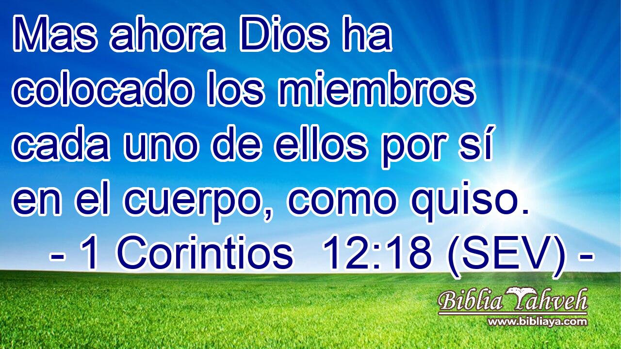 Mas ahora Dios ha colocado los miembros cada uno de ellos por sí en el cuerpo, como quiso.