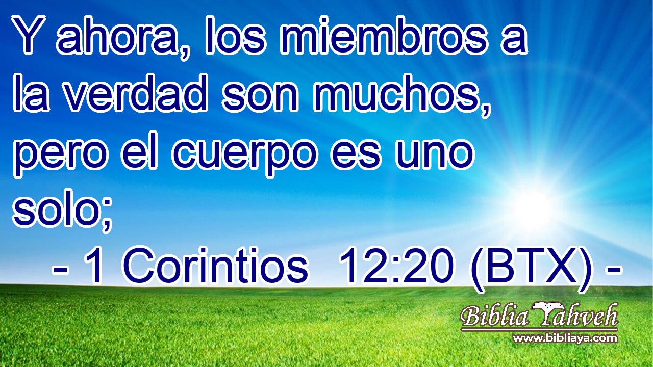 Y ahora, los miembros a la verdad son muchos, pero el cuerpo es uno solo;