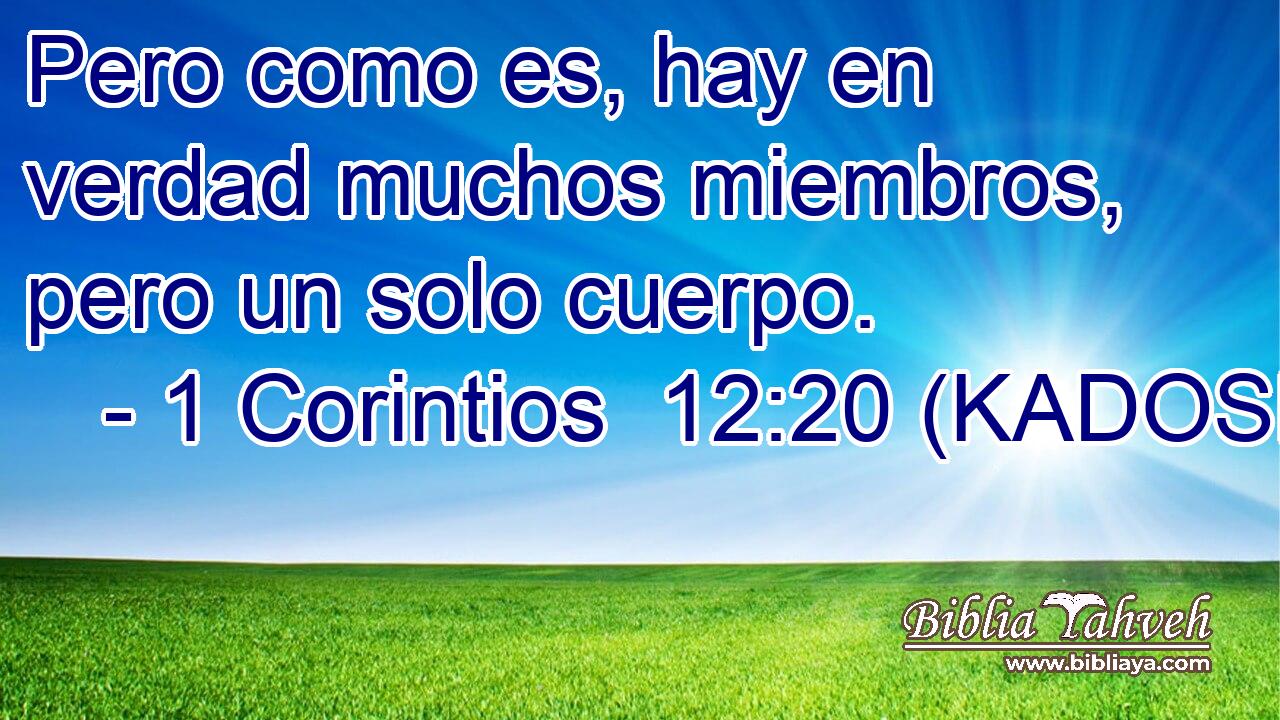  Pero como es, hay en verdad muchos miembros, pero un solo cuerpo. 
