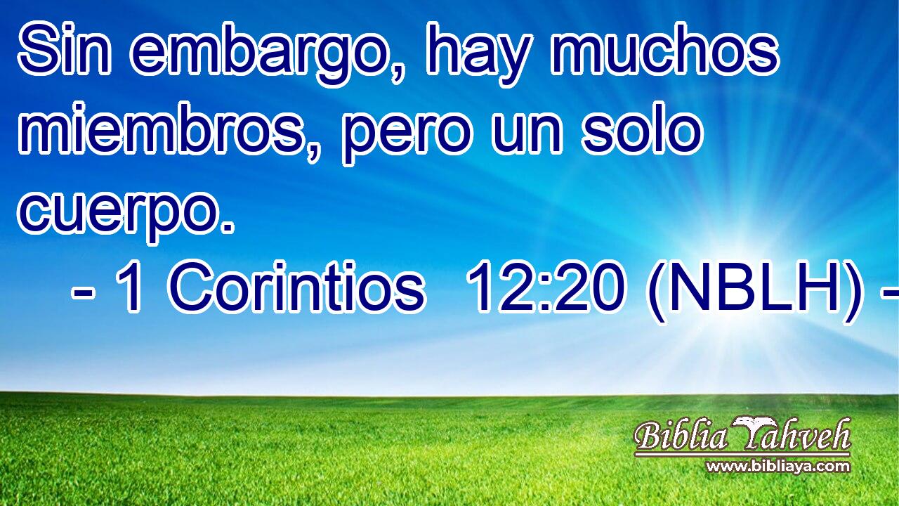  Sin embargo, hay muchos miembros, pero un solo cuerpo. 