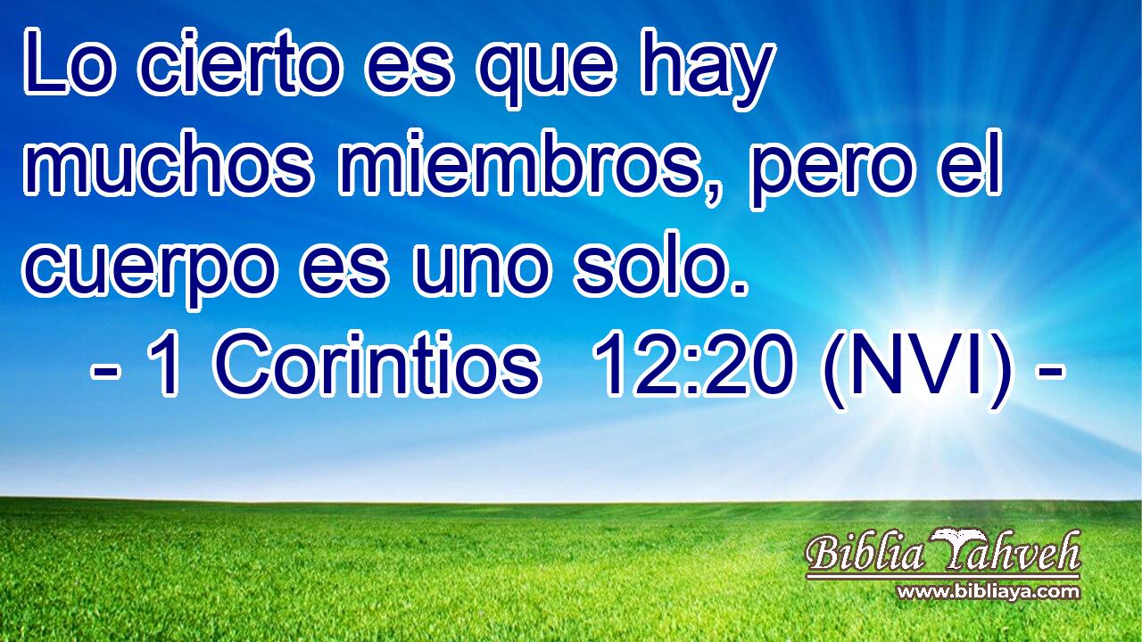  Lo cierto es que hay muchos miembros, pero el cuerpo es uno solo. 