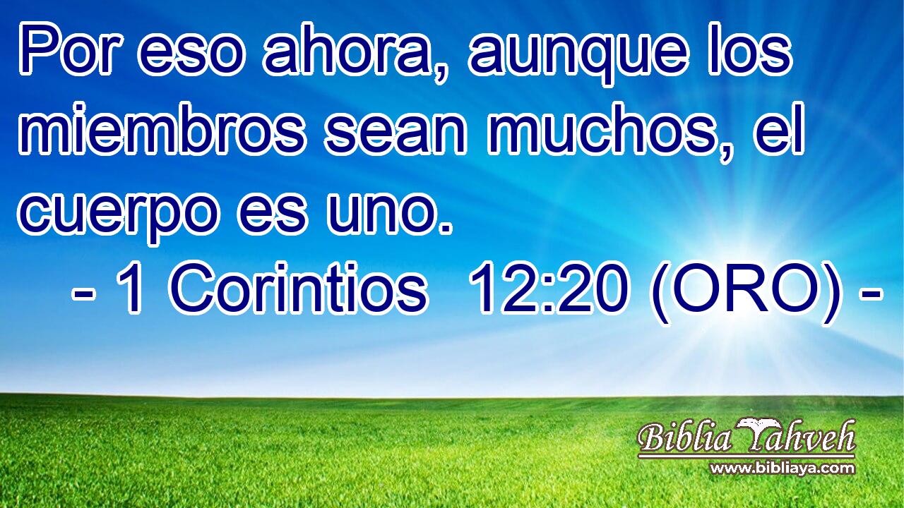  Por eso ahora, aunque los miembros sean muchos, el cuerpo es uno. 