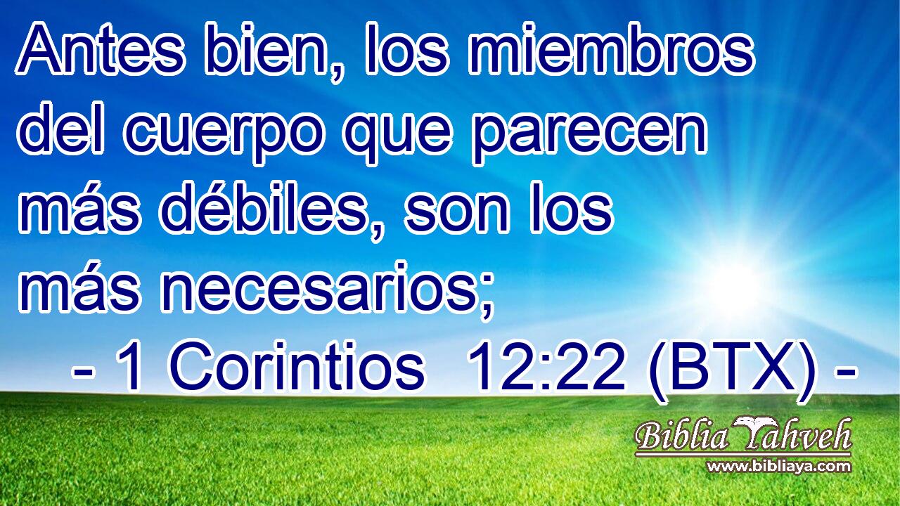 Antes bien, los miembros del cuerpo que parecen más débiles, son los más necesarios;