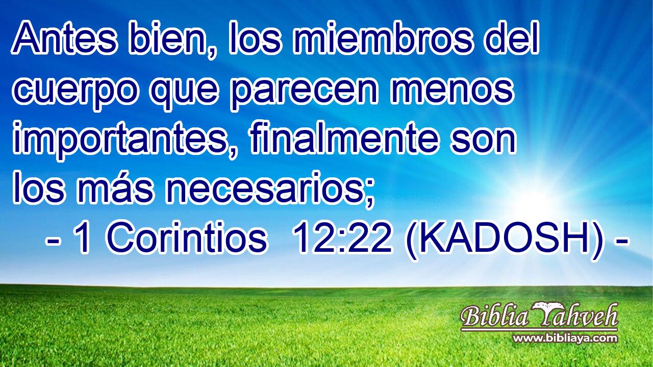  Antes bien, los miembros del cuerpo que parecen menos importantes, finalmente son los más necesarios; 