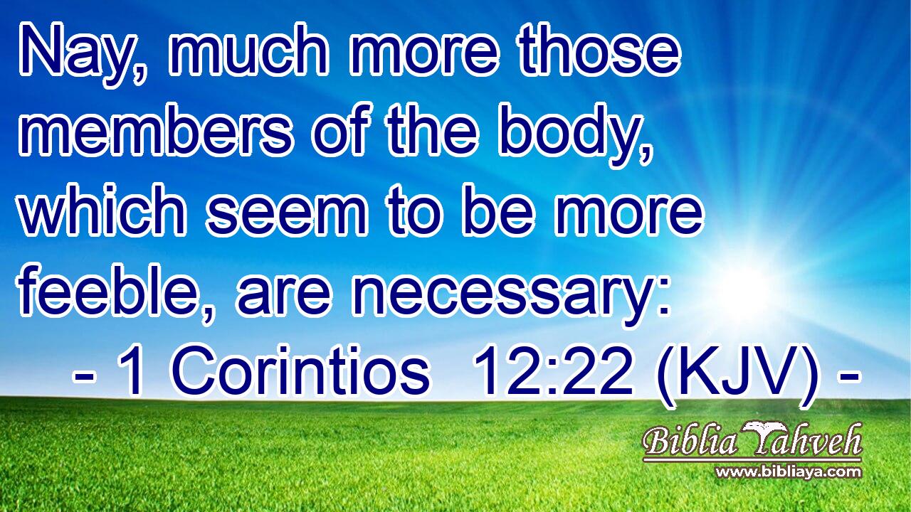 Nay, much more those members of the body, which seem to be more feeble, are necessary: