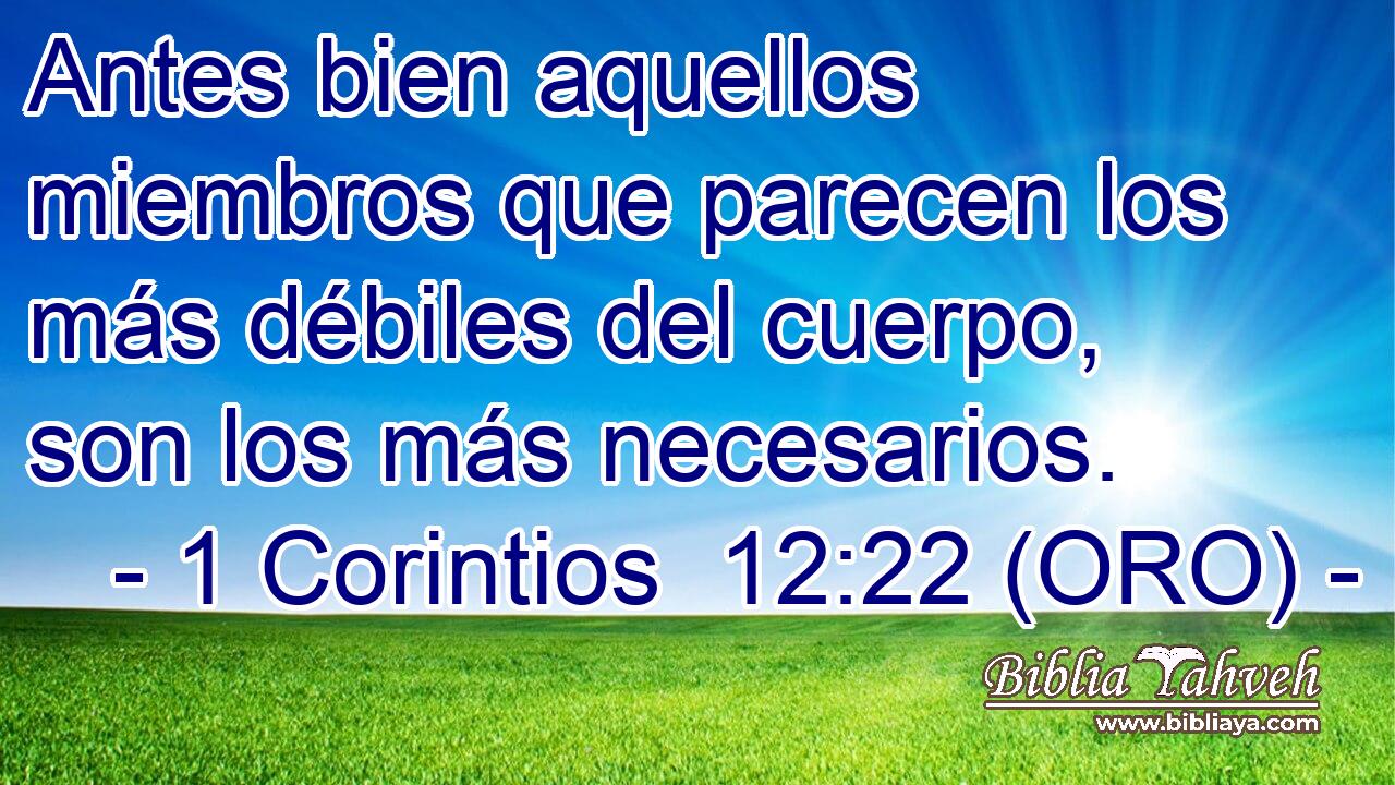  Antes bien aquellos miembros que parecen los más débiles del cuerpo, son los más necesarios. 