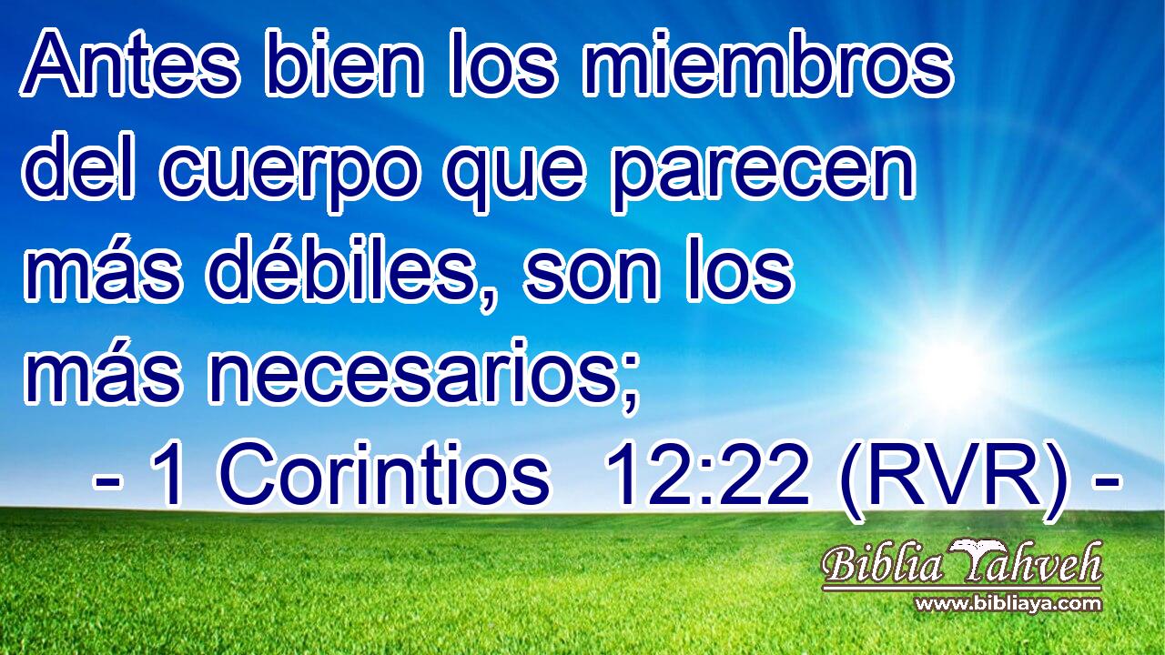 Antes bien los miembros del cuerpo que parecen más débiles, son los más necesarios;