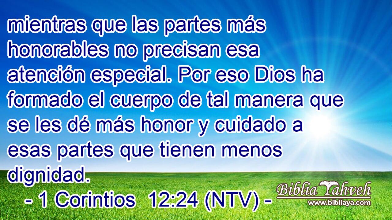 mientras que las partes más honorables no precisan esa atención especial. Por eso Dios ha formado el cuerpo de tal manera que se les dé más honor y cuidado a esas partes que tienen menos dignidad.