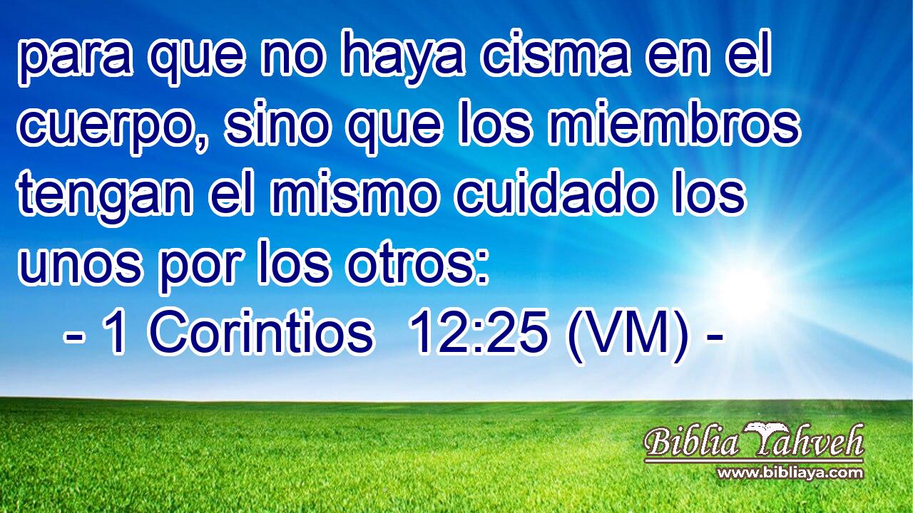  para que no haya cisma en el cuerpo, sino que los miembros tengan el mismo cuidado los unos por los otros: 