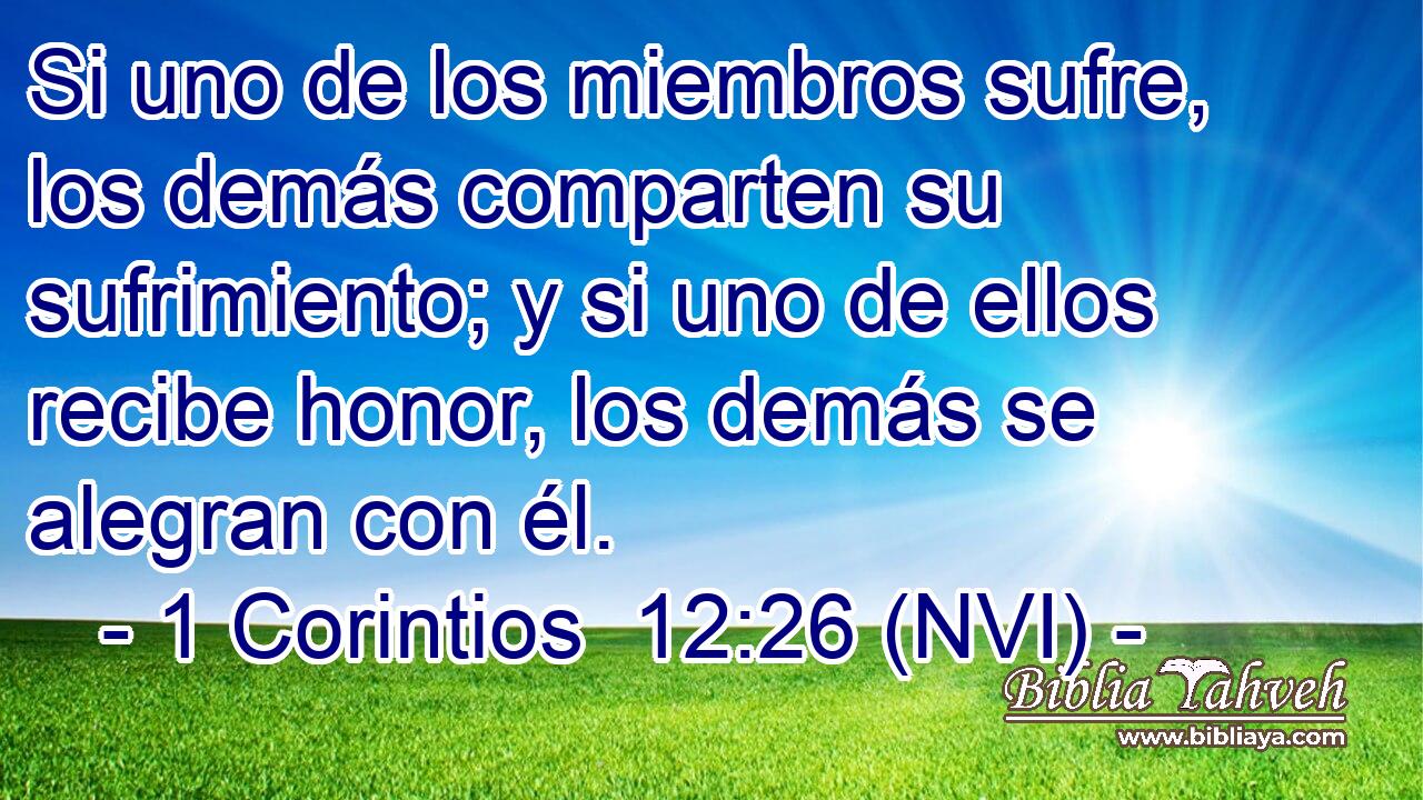  Si uno de los miembros sufre, los demás comparten su sufrimiento; y si uno de ellos recibe honor, los demás se alegran con él. 