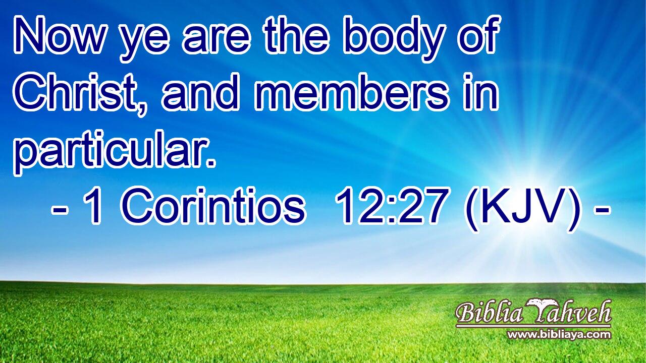 Now ye are the body of Christ, and members in particular.