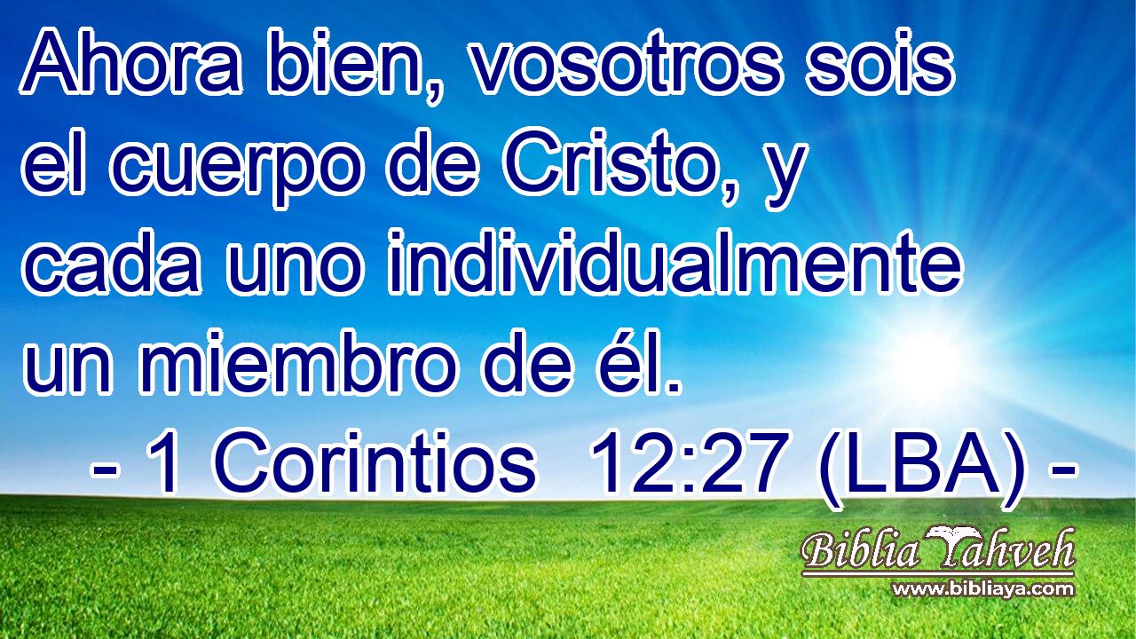 Ahora bien, vosotros sois el cuerpo de Cristo, y cada uno individualmente un miembro de él.
