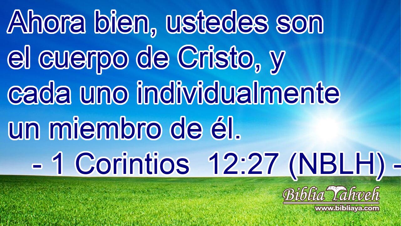  Ahora bien, ustedes son el cuerpo de Cristo, y cada uno individualmente un miembro de él. 