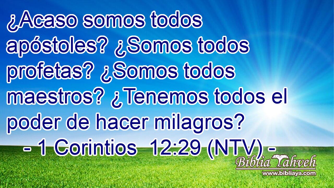 ¿Acaso somos todos apóstoles? ¿Somos todos profetas? ¿Somos todos maestros? ¿Tenemos todos el poder de hacer milagros?