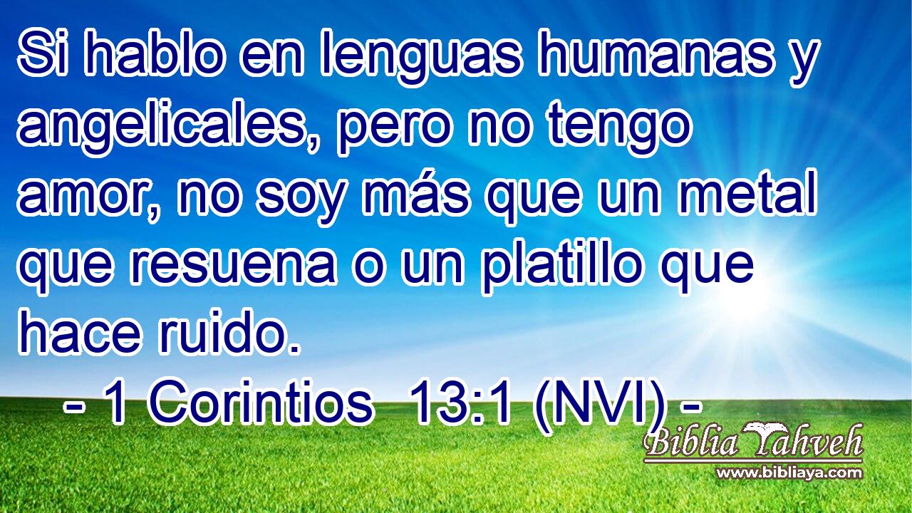 Si hablo en lenguas humanas y angelicales, pero no tengo amor, no soy más que un metal que resuena o un platillo que hace ruido. 