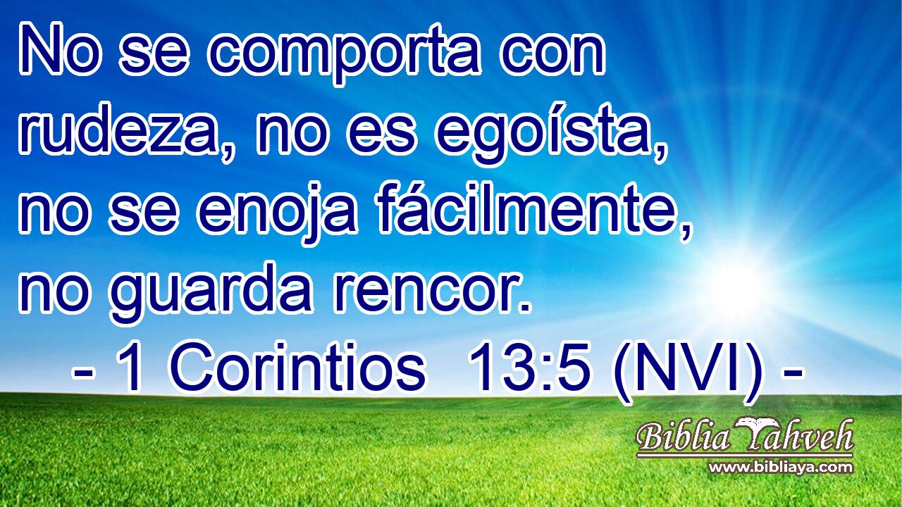  No se comporta con rudeza, no es egoísta, no se enoja fácilmente, no guarda rencor. 