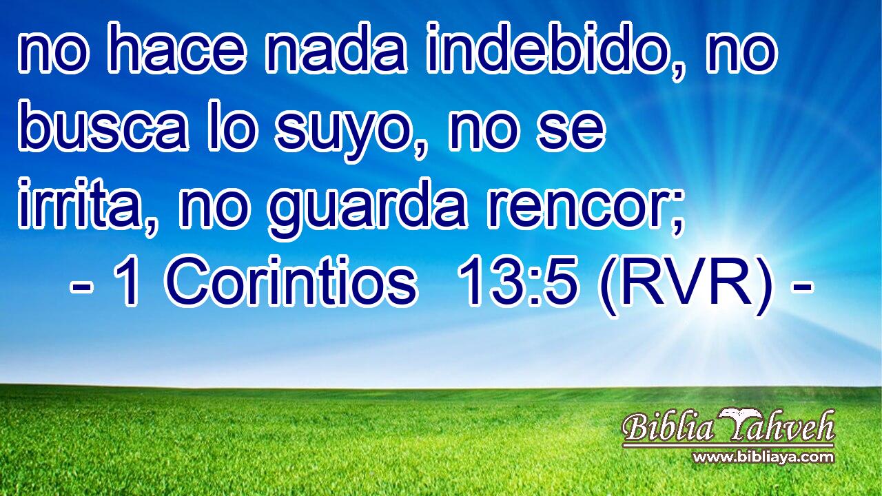 no hace nada indebido, no busca lo suyo, no se irrita, no guarda rencor;