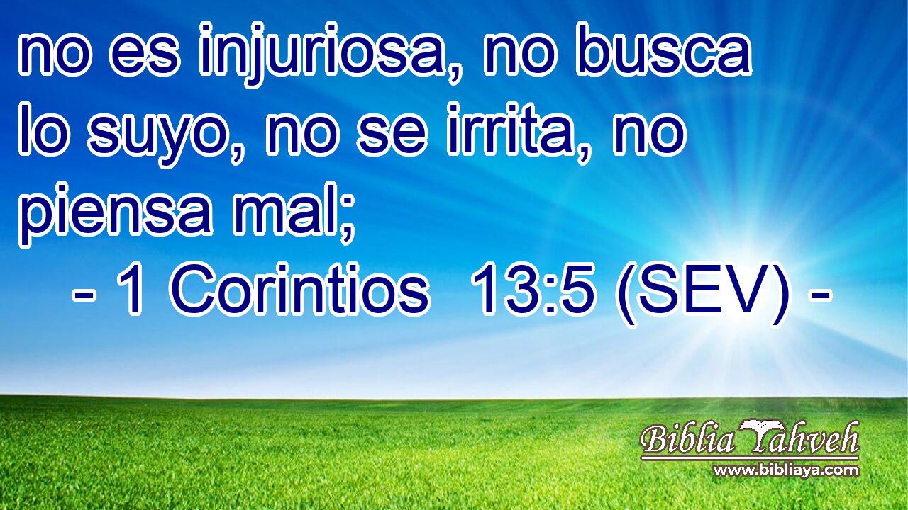 no es injuriosa, no busca lo suyo, no se irrita, no piensa mal;