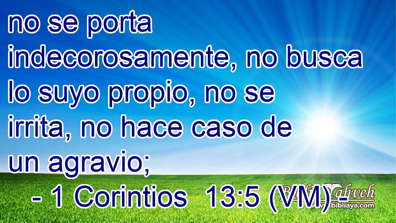  no se porta indecorosamente, no busca lo suyo propio, no se irrita, no hace caso de un agravio; 