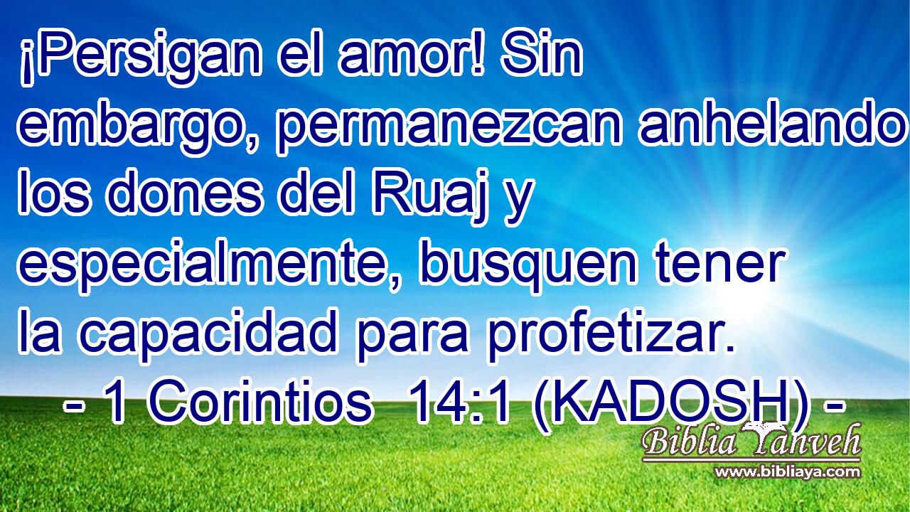  ¡Persigan el amor! Sin embargo, permanezcan anhelando los dones del Ruaj y especialmente, busquen tener la capacidad para profetizar. 