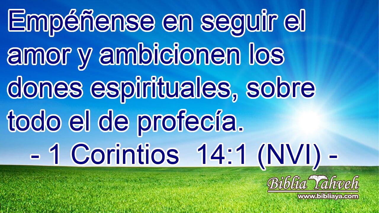  Empéñense en seguir el amor y ambicionen los dones espirituales, sobre todo el de profecía. 