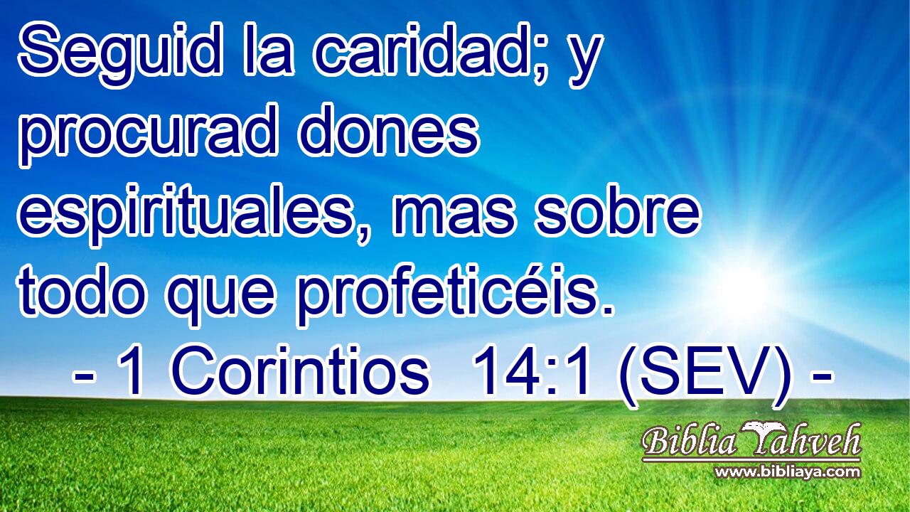 Seguid la caridad; y procurad dones espirituales, mas sobre todo que profeticéis.