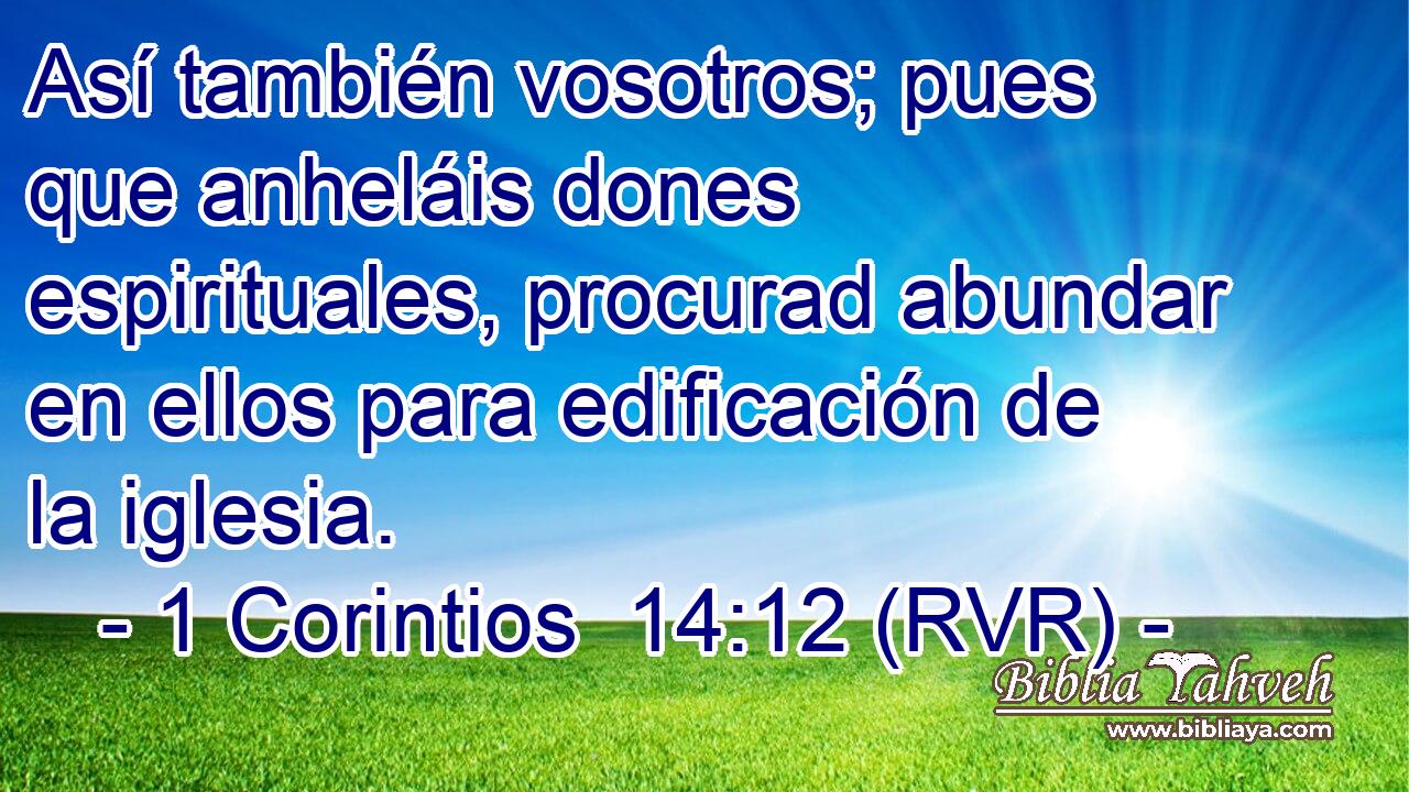 Así también vosotros; pues que anheláis dones espirituales, procurad abundar en ellos para edificación de la iglesia.
