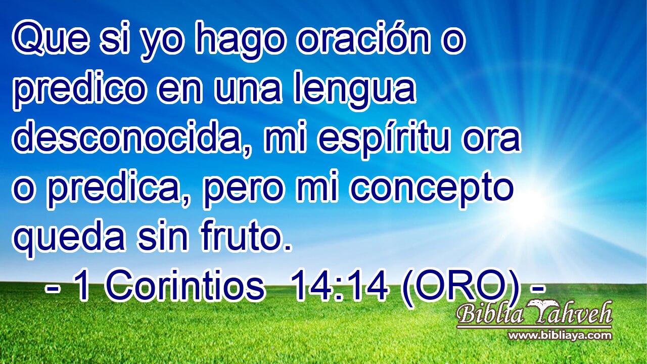  Que si yo hago oración o predico en una lengua desconocida, mi espíritu ora o predica, pero mi concepto queda sin fruto. 
