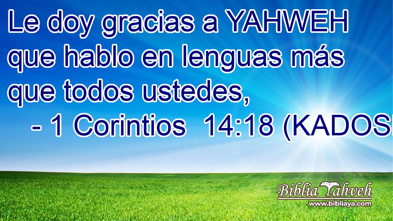  Le doy gracias a YAHWEH que hablo en lenguas más que todos ustedes, 