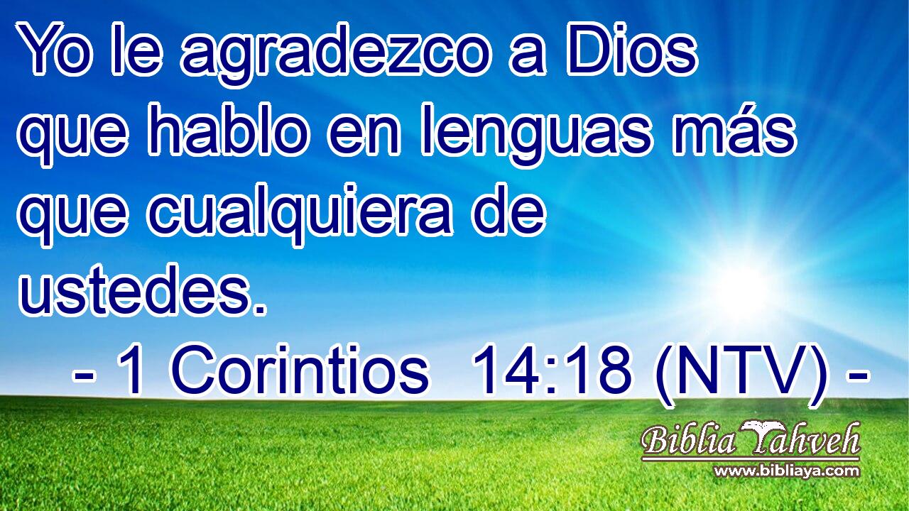 Yo le agradezco a Dios que hablo en lenguas más que cualquiera de ustedes.