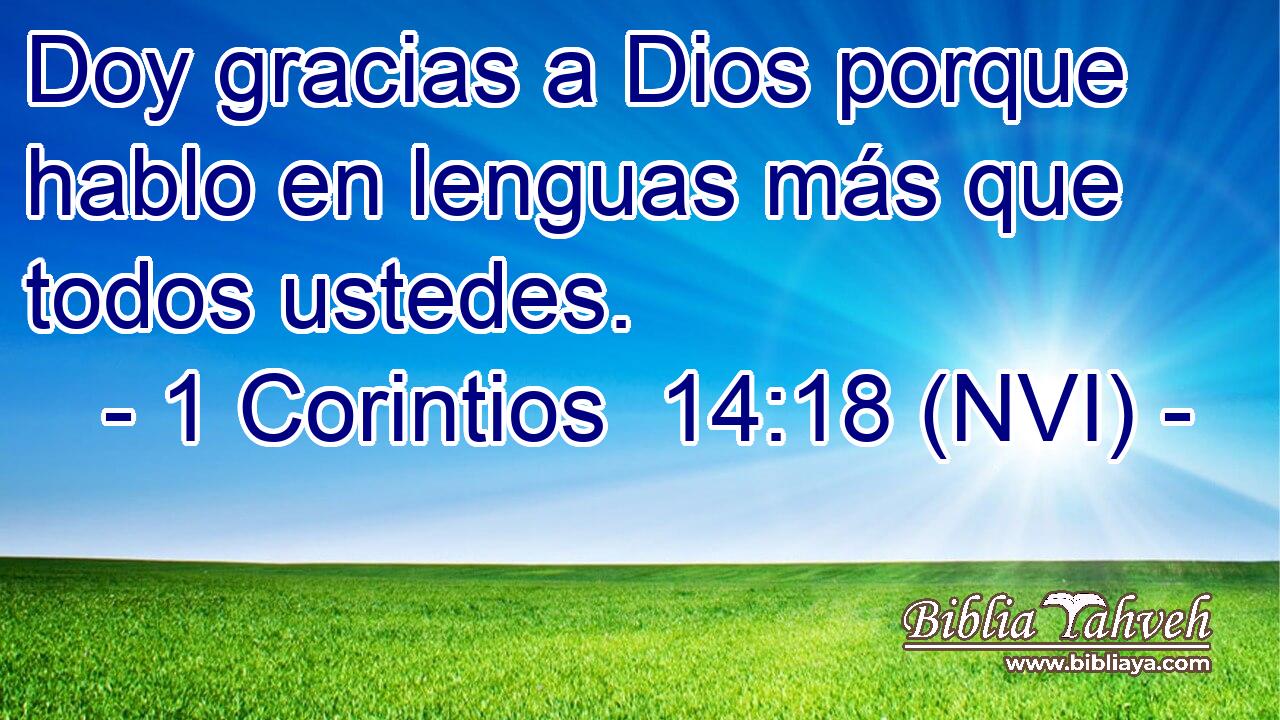  Doy gracias a Dios porque hablo en lenguas más que todos ustedes. 