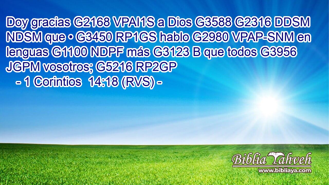 Doy gracias G2168 VPAI1S a Dios G3588 G2316 DDSM NDSM que • G3450 RP1GS hablo G2980 VPAP-SNM en lenguas G1100 NDPF más G3123 B que todos G3956 JGPM vosotros; G5216 RP2GP 