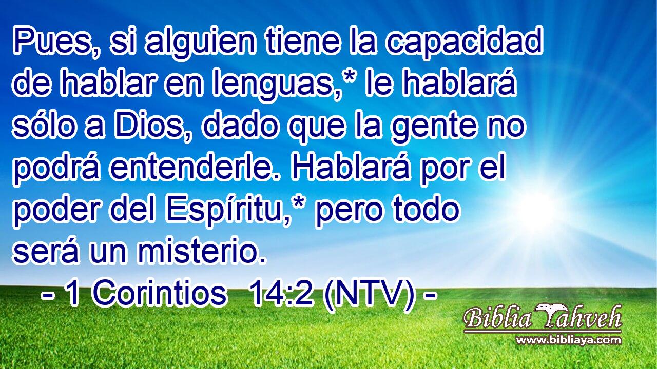 Pues, si alguien tiene la capacidad de hablar en lenguas,* le hablará sólo a Dios, dado que la gente no podrá entenderle. Hablará por el poder del Espíritu,* pero todo será un misterio.
