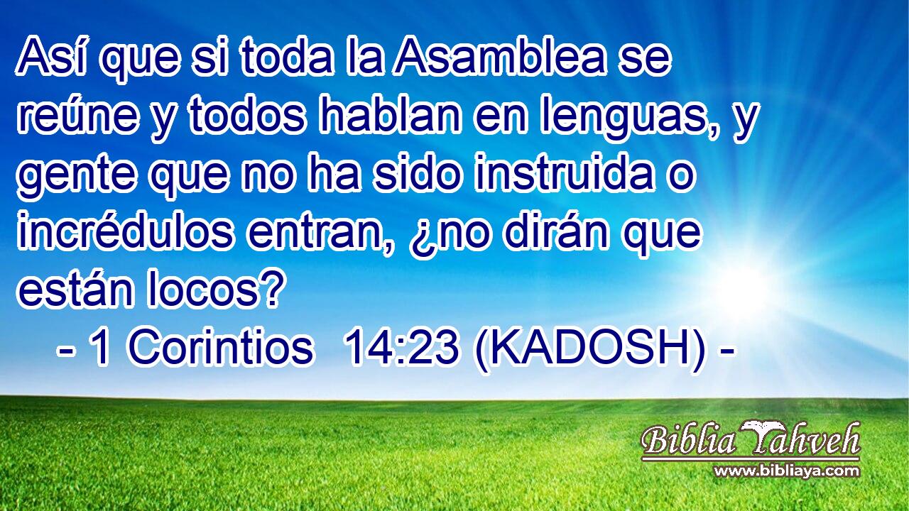  Así que si toda la Asamblea se reúne y todos hablan en lenguas, y gente que no ha sido instruida o incrédulos entran, ¿no dirán que están locos? 